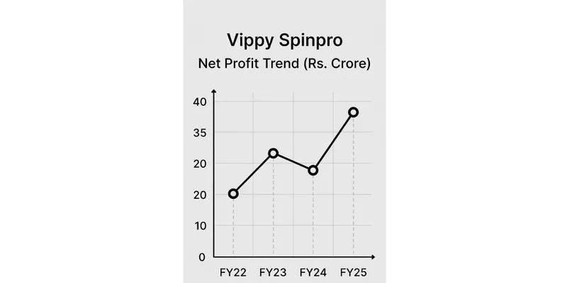  “Analysing the Financial Report of VIPPY SPINPRO LTD.”